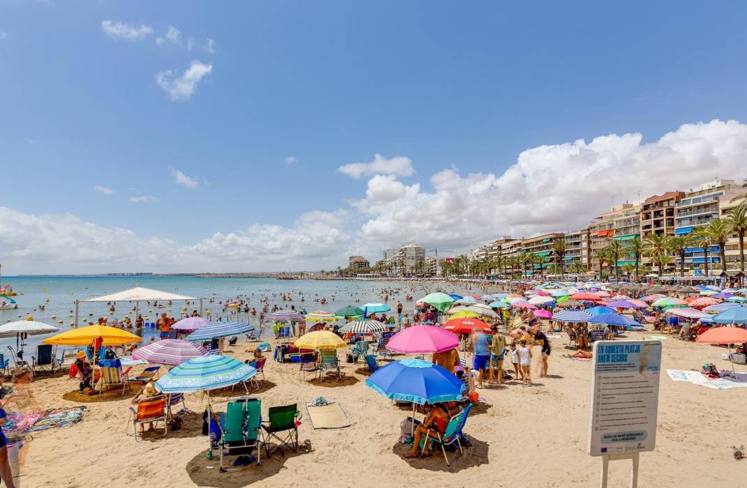 Venta - Piso - Torrevieja - torrevieja