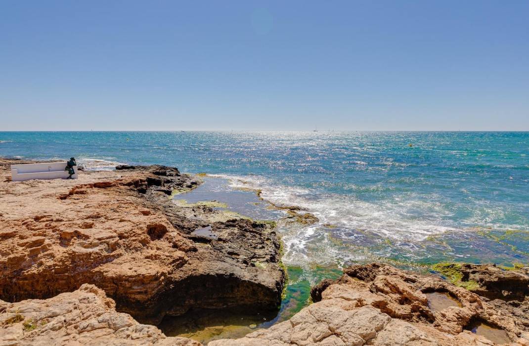 Venta - Piso - Torrevieja - torrevieja