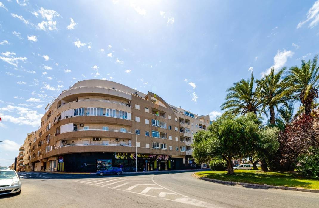 Venta - Piso - Torrevieja - torrevieja