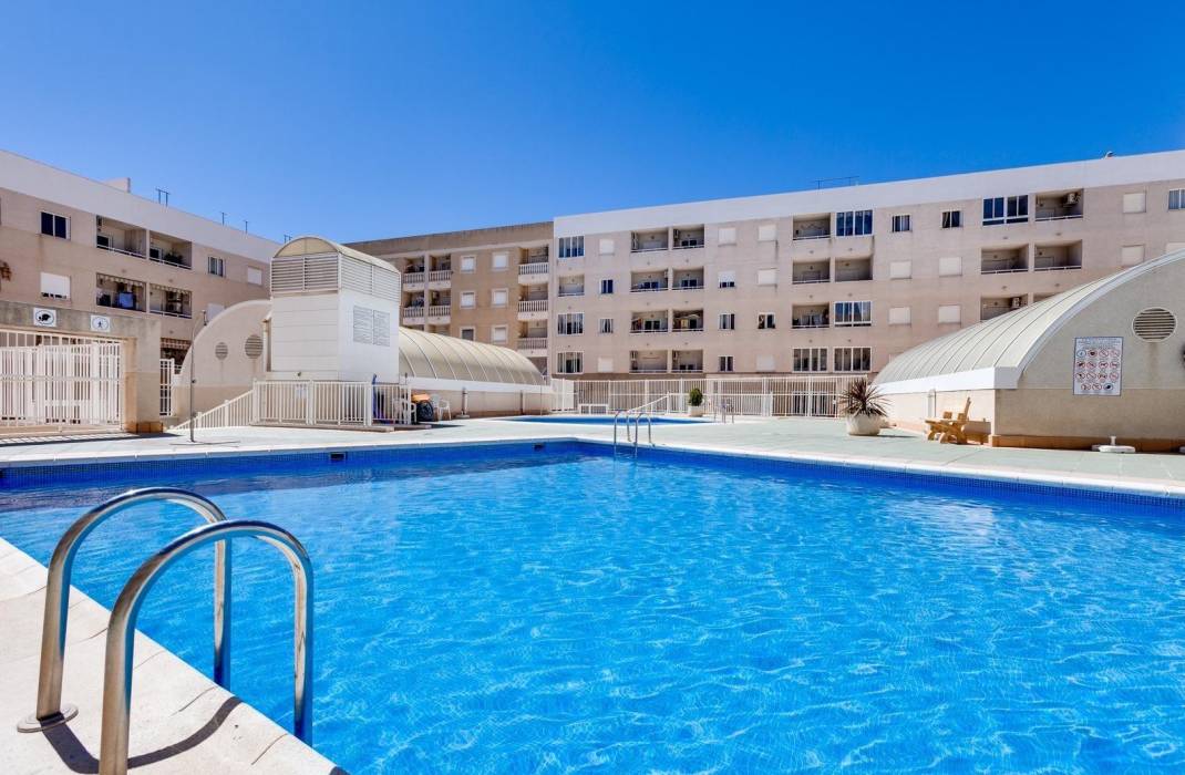 Venta - Piso - Torrevieja - torrevieja