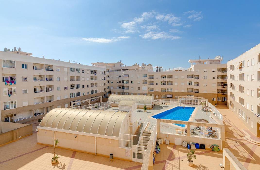 Venta - Piso - Torrevieja - torrevieja