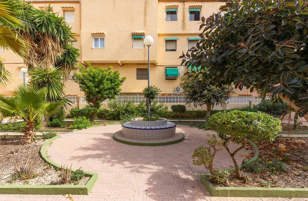 Venta - Piso - Torrevieja