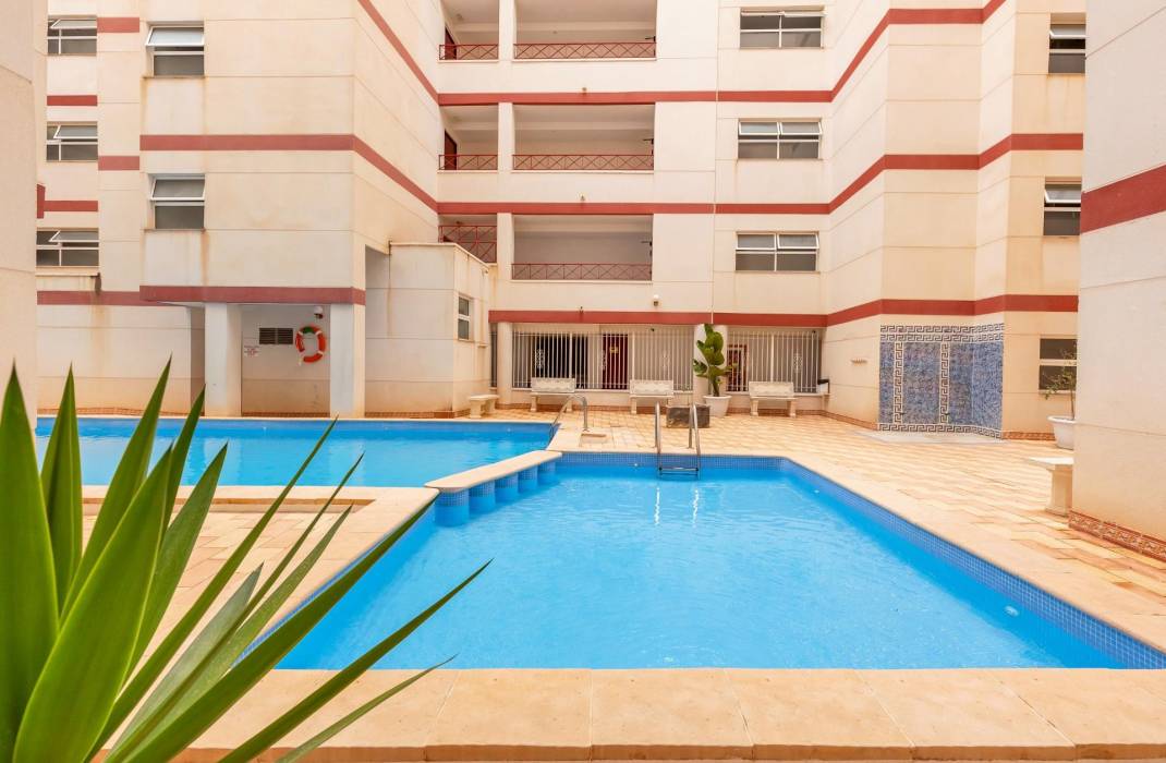 Venta - Piso - Torrevieja
