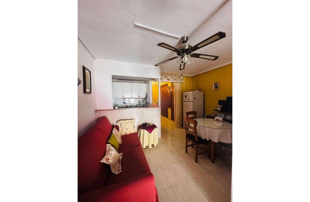 Venta - Studio - Torrevieja - Playa del cura