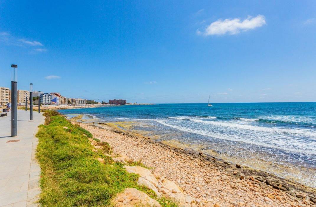 Venta - Studio - Torrevieja